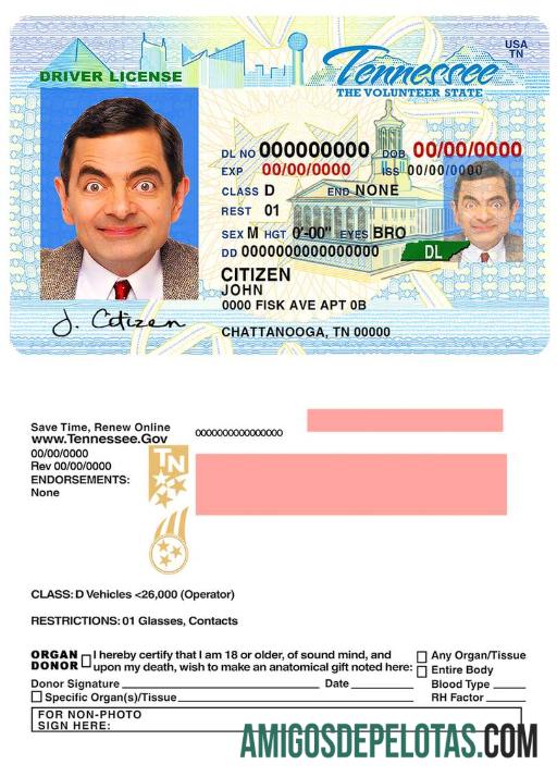 Carta de condução do Tennessee nos EUA modelo